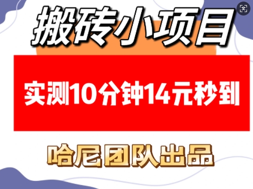 （1.18）搬砖小项目，实测10分钟14元秒到，每天稳定几张(赠送必看稳定)