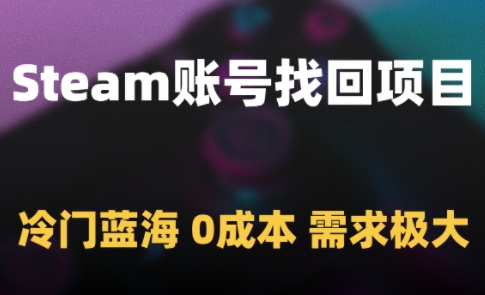 （5.23）Steam账号找回项目，冷门蓝海，0成本，需求极大
