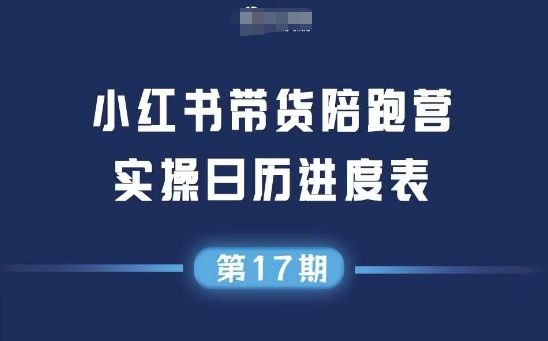 （6.24）小红书第17期带货陪跑营，不囤货，不直播，不投流，通过选品+笔记内容+测品+笔记铺量+矩阵运营打爆款