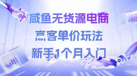 （6.19）咸鱼无货源电商，高客单价玩法，新手1个月入门