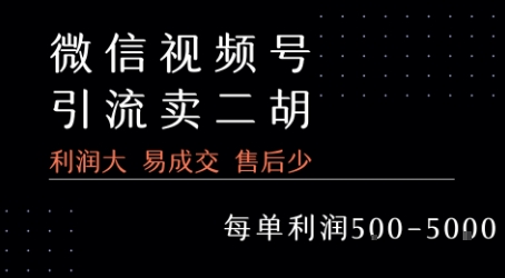 （7.29）视频号卖二胡教程，利润大 易成交 售后少，一单利润5张+