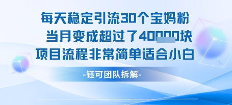 （7.27）每天稳定引流30个人 当月变成超过了4个W项目流程非常简单适合小白