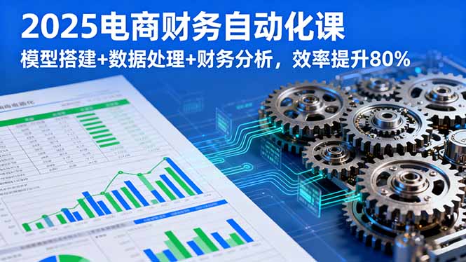 （9.19）2025电商财务自动化课，模型搭建+数据处理+财务分析，效率提升80%