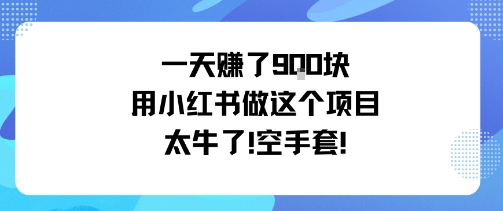 (10.10)一天挣了9张用小红书做这个项目太牛了,空手套