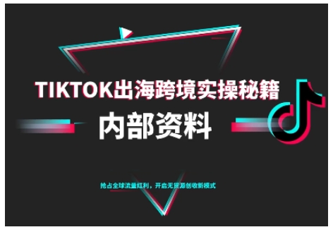 （11.1）TikTok跨境电商0-1搭建运营，TK出海跨境实操秘籍（10月更新）