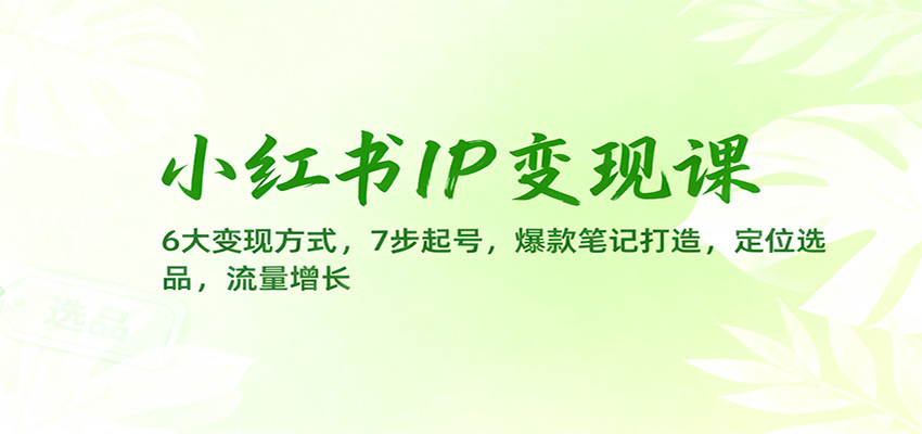 （11.16）小红书IP变现课：6大变现方式，7步起号，爆款笔记打造，定位选品，流量增长